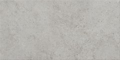 Плитка підлогова Highbrook Light Grey 29,8x59,8 код 7438 Церсаніт LC-19350